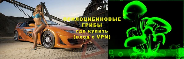 а пвп мука Алзамай