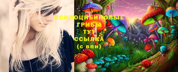 амфетамин Алексин