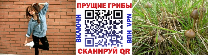 Галлюциногенные грибы GOLDEN TEACHER  наркошоп  Канаш 