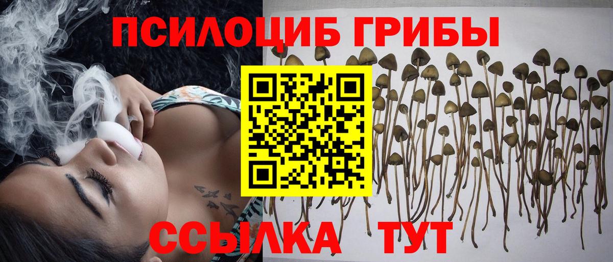 Галлюциногенные грибы Psilocybe  Вход с VPN  Канаш  Псилоцибиновые грибы ЛСД 